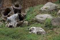 Rovna-Jihlava 2025 - 35